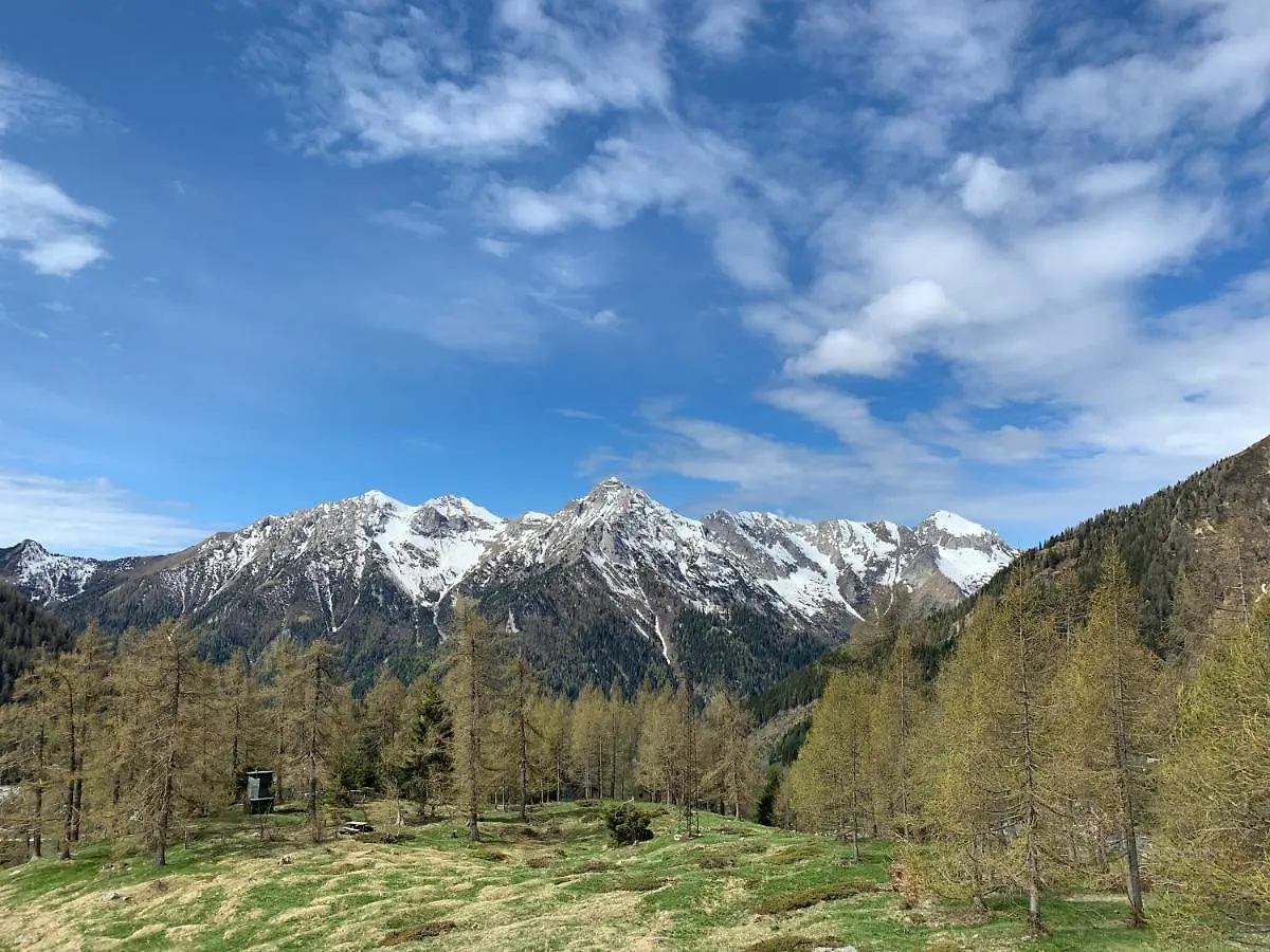 B&B Stella Alpina Foppolo Bed & Breakfast